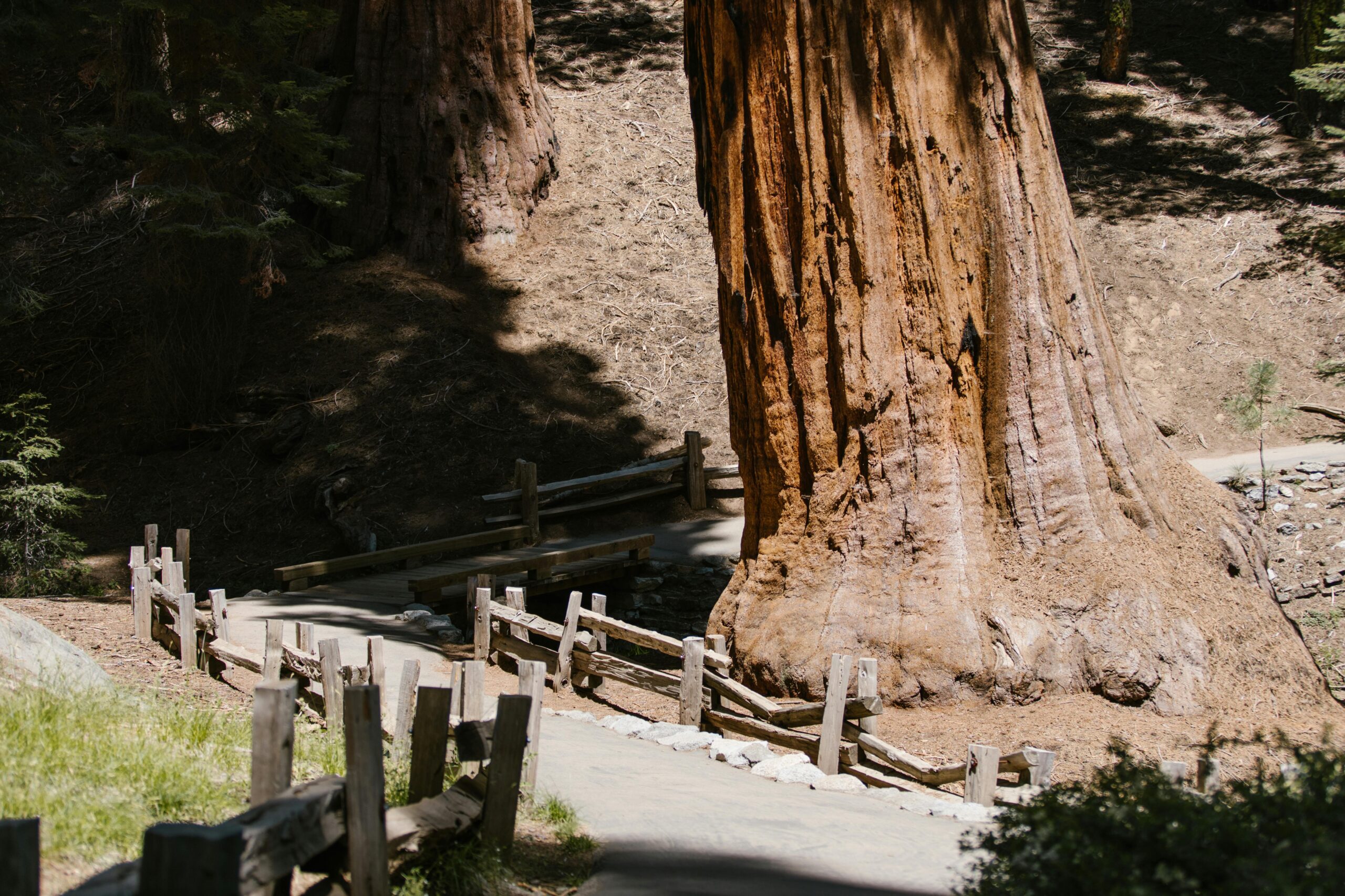 Visitamos Sequoia National Park